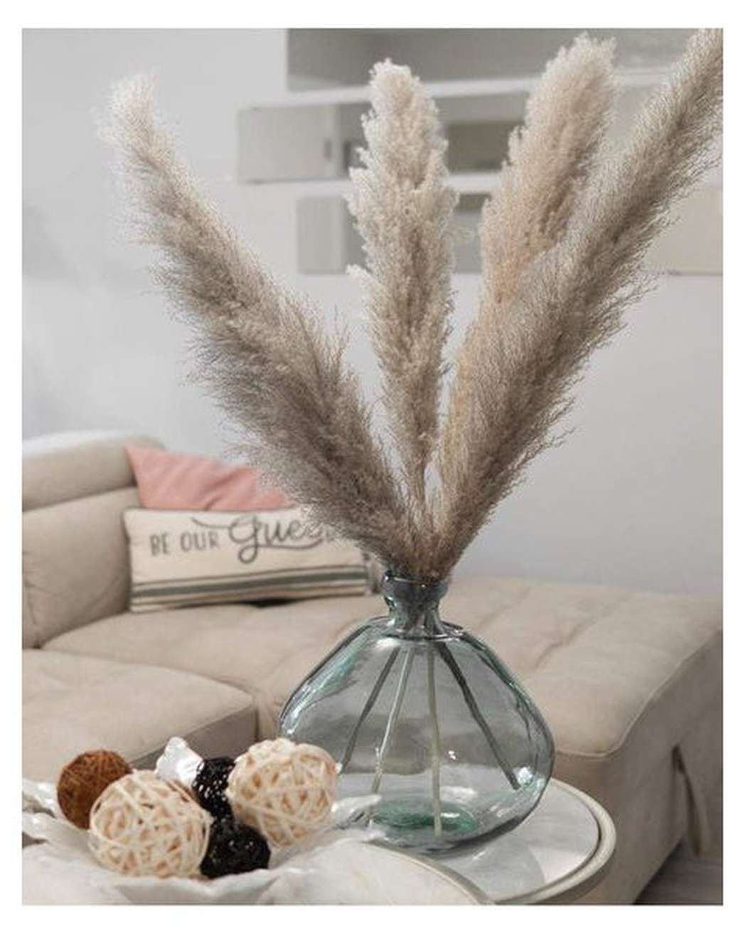 Cool Grey Pampas Grass
