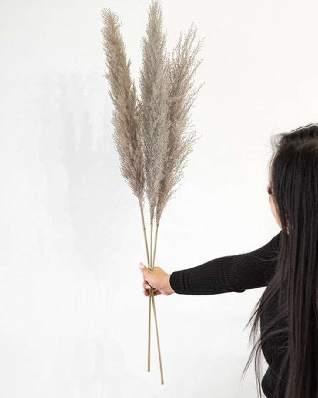 Cool Grey Pampas Grass