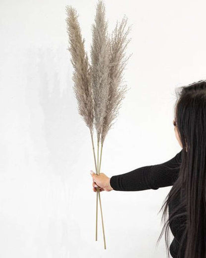 Cool Grey Pampas Grass