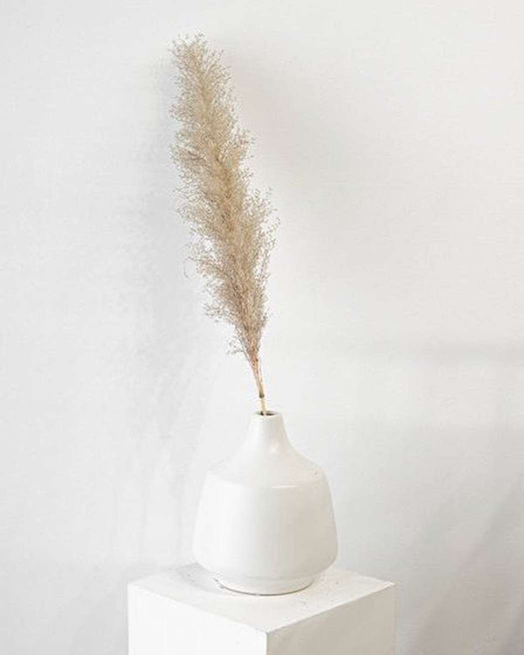 Cool Grey Pampas Grass