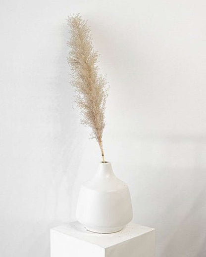 Cool Grey Pampas Grass