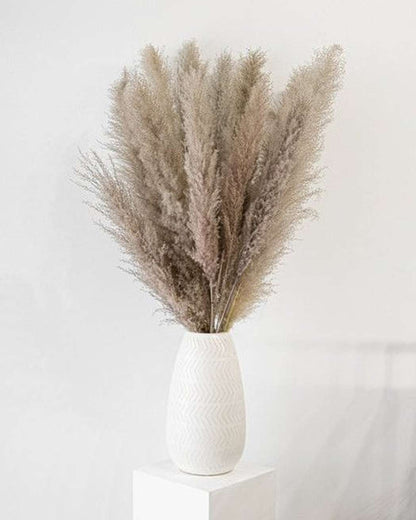 Cool Grey Pampas Grass