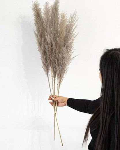 Cool Grey Pampas Grass
