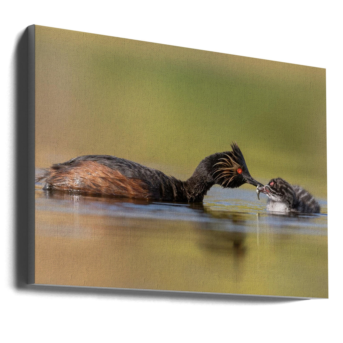 Wall art Feeding