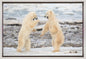 Wall art Fight !