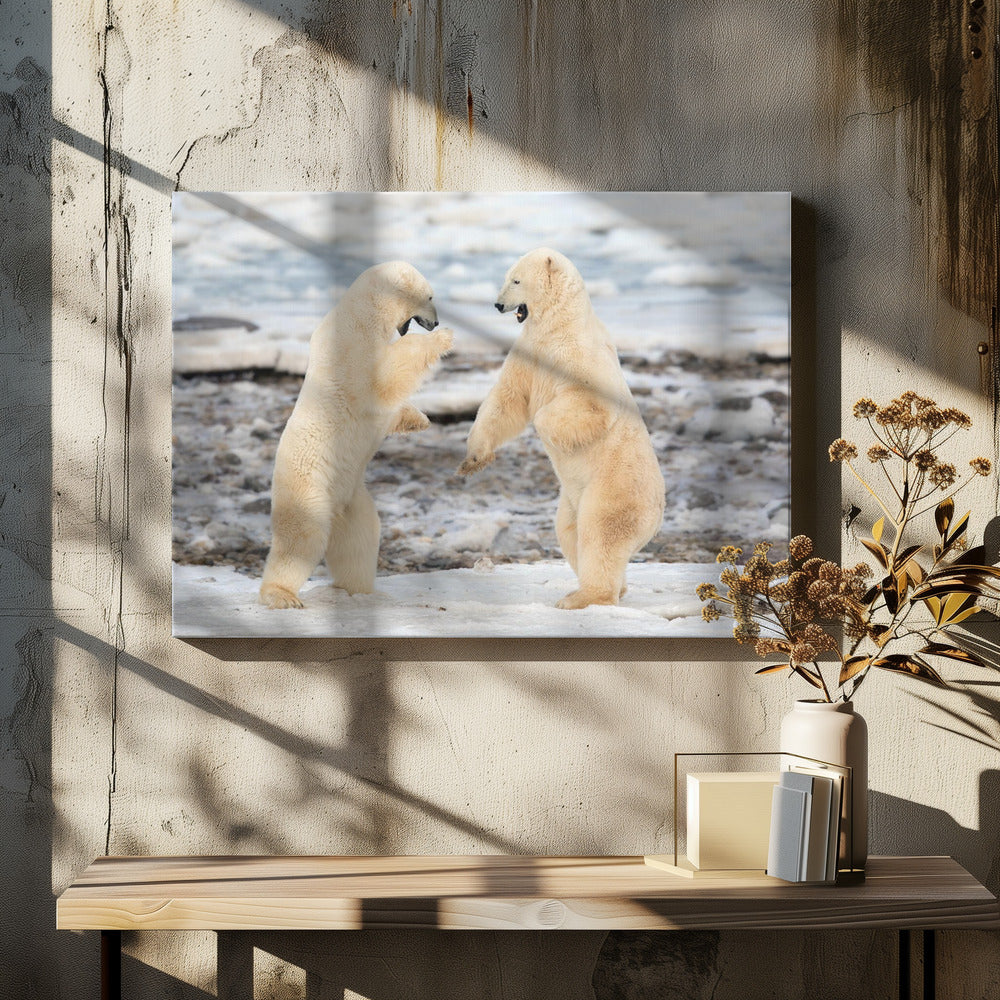 Wall art Fight !